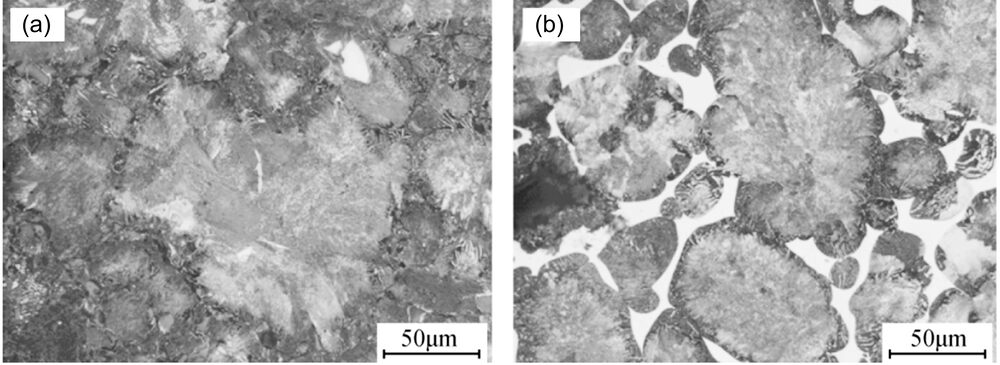The Metallographic of Samples before and after Copper Infiltration